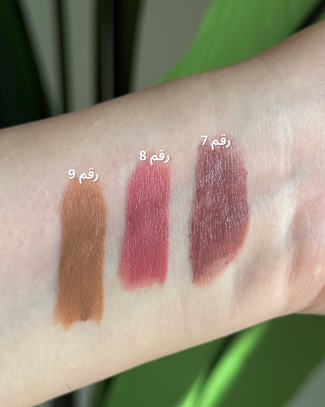 روج ثابت من ريل بيوتي