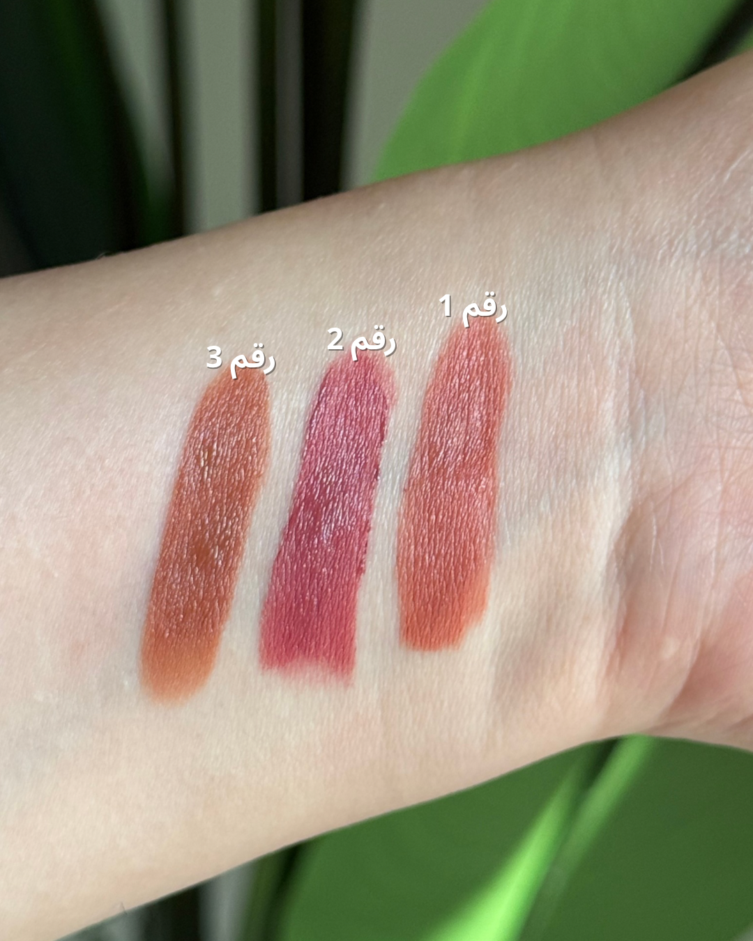 روج ثابت من ريل بيوتي