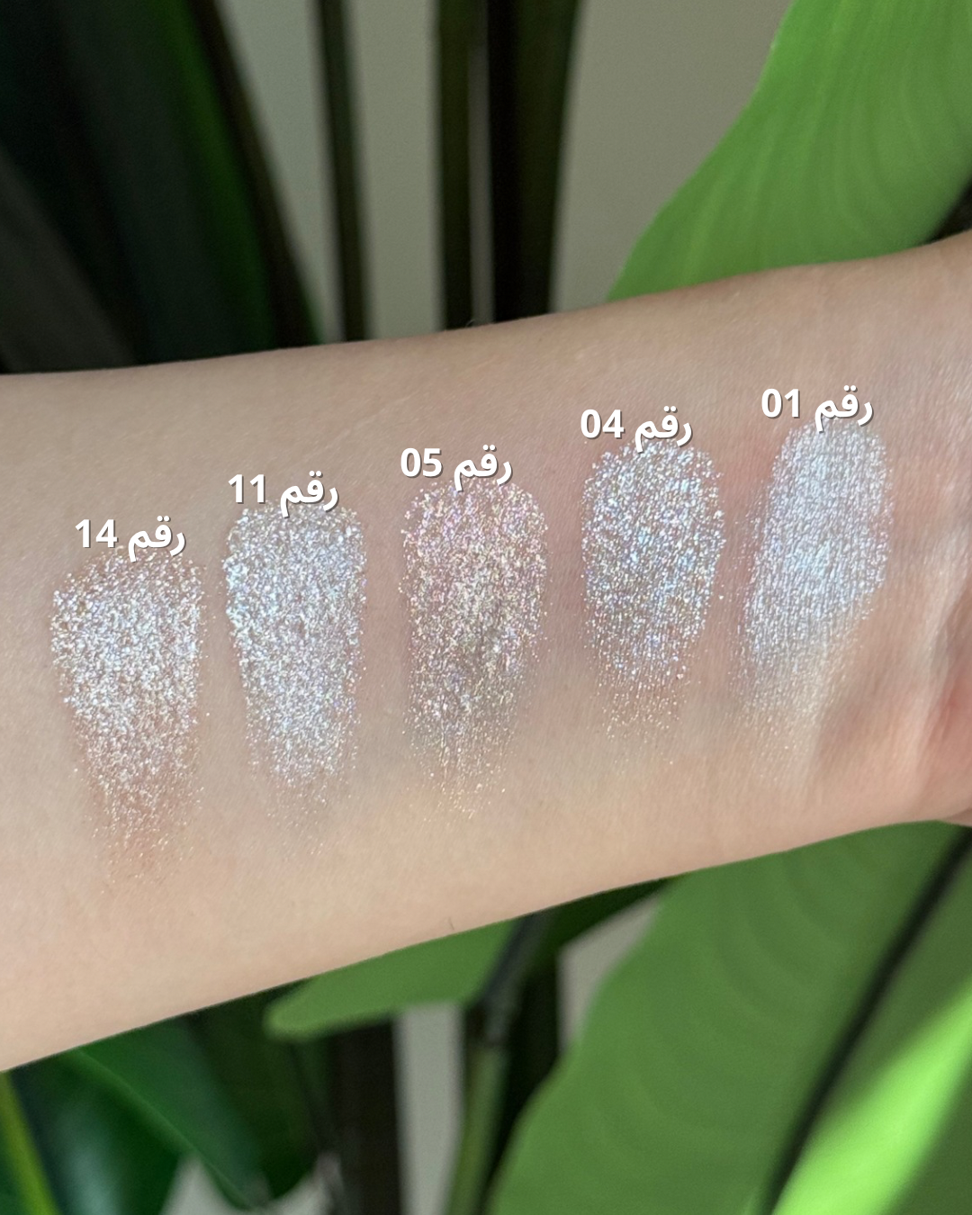 ظل عيون هايلايتر من ريل بيوتي